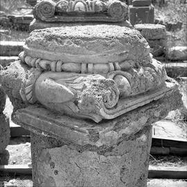 Chapiteau Basilique.