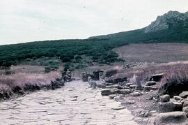 Decumanus. Belo decumanus vers la porte ouest.