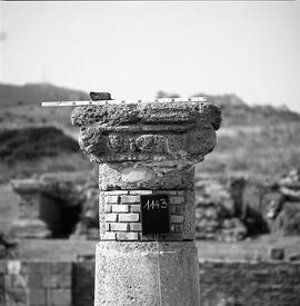 Chapiteau Basilique. 1143.