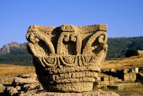 Original Digital object not accessible