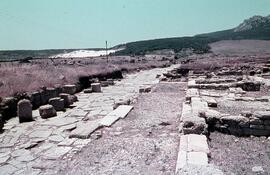 Decumanus. Belo (decumanus vers l`Ouest).