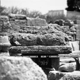 Chapiteau Basilique. 486.