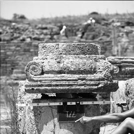 Chapiteau Basilique. 711.