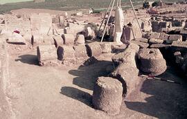 Basilique (colonnes effondrés).