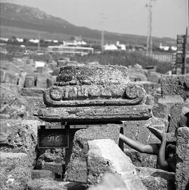 Chapiteau Basilique. 216.