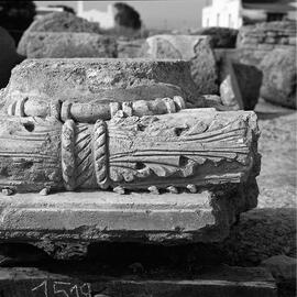 Chapiteau Basilique. 1519.