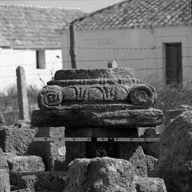 Chapiteau Basilique. 168.