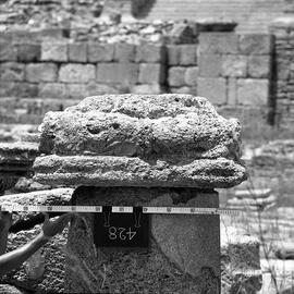 Chapiteau Basilique. 428.