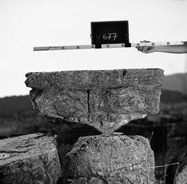 Chapiteau Basilique. 677.