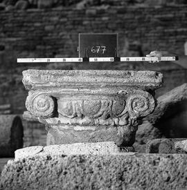 Chapiteau Basilique. 677.