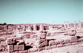 Decumanus. Belo (decumanus) double. (Macellum).