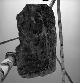 Base statue ♀ Belo.