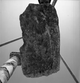 Base statue ♀ Belo.