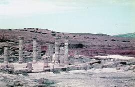 Basilique. Vue de l`église.