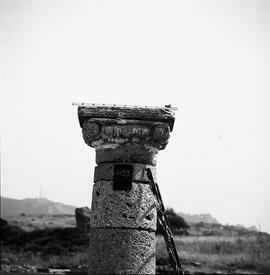Chapiteau Basilique. 1153.