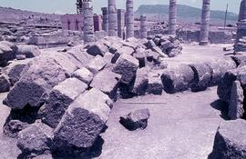Basilique (Blocs d`architectures et colonnes moulurés).