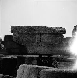 Chapiteau Basilique. 735.