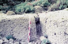 Carrières de Punta Camarinal (carriere).