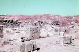 Decumanus. Belo (decumanus).