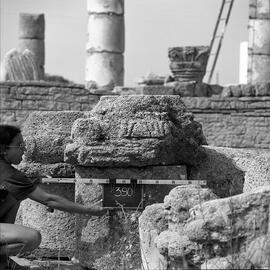 Chapiteau Basilique. 390.