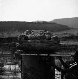 Chapiteau Basilique. 428.