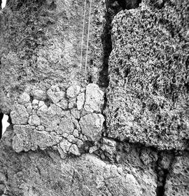 Base Trajan Basilique.