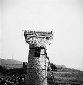 Chapiteau Basilique. 1153.
