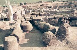 Basilique (blocs et colonnes effondrés).