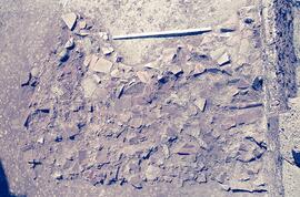 Basilique (débris de tuiles).