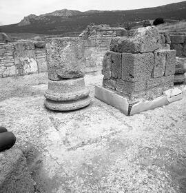 Base Trajan Basilique.