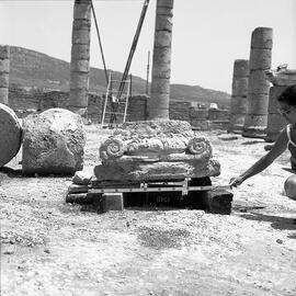 Chapiteau Basilique. 1519.