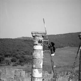 Chapiteau Basilique. 1119.