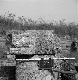Chapiteau Basilique. 759.