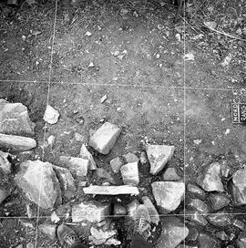 W. Forum. Nord Tang 2.