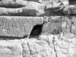 Vue prise en 1991.