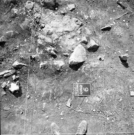 W. Forum. Nord Rang 6.