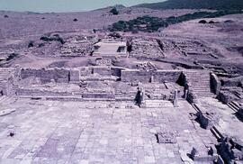 Forum. Temple et forum vue de la basilique.