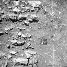 W. Forum. Nord Rang 8.