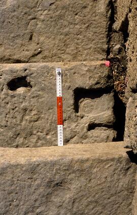 Forum. Escalier Forum.