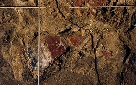 Bâtiments G. Enduits peints.