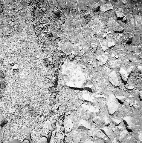 Original Digital object not accessible