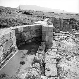 Macellum.