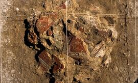 Bâtiments G. Enduits peints.