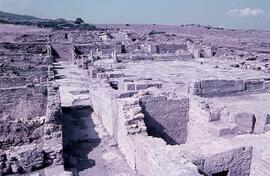 Forum (temples et forum).