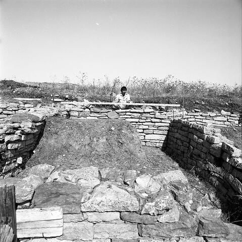 Original Digital object not accessible