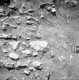 W. Forum. Nord Rang 7.